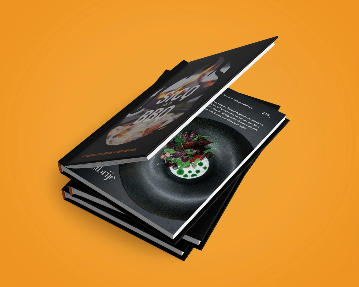 SiCQ Goed BBQ-boek 5 SiCQ Goed BBQ-boek - Afbeelding 3